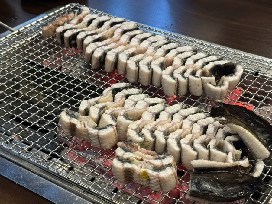 Pre-grilled freshwater eel on the charcoal grill