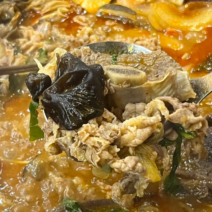 A ladleful of hot pot ingredients scooped up