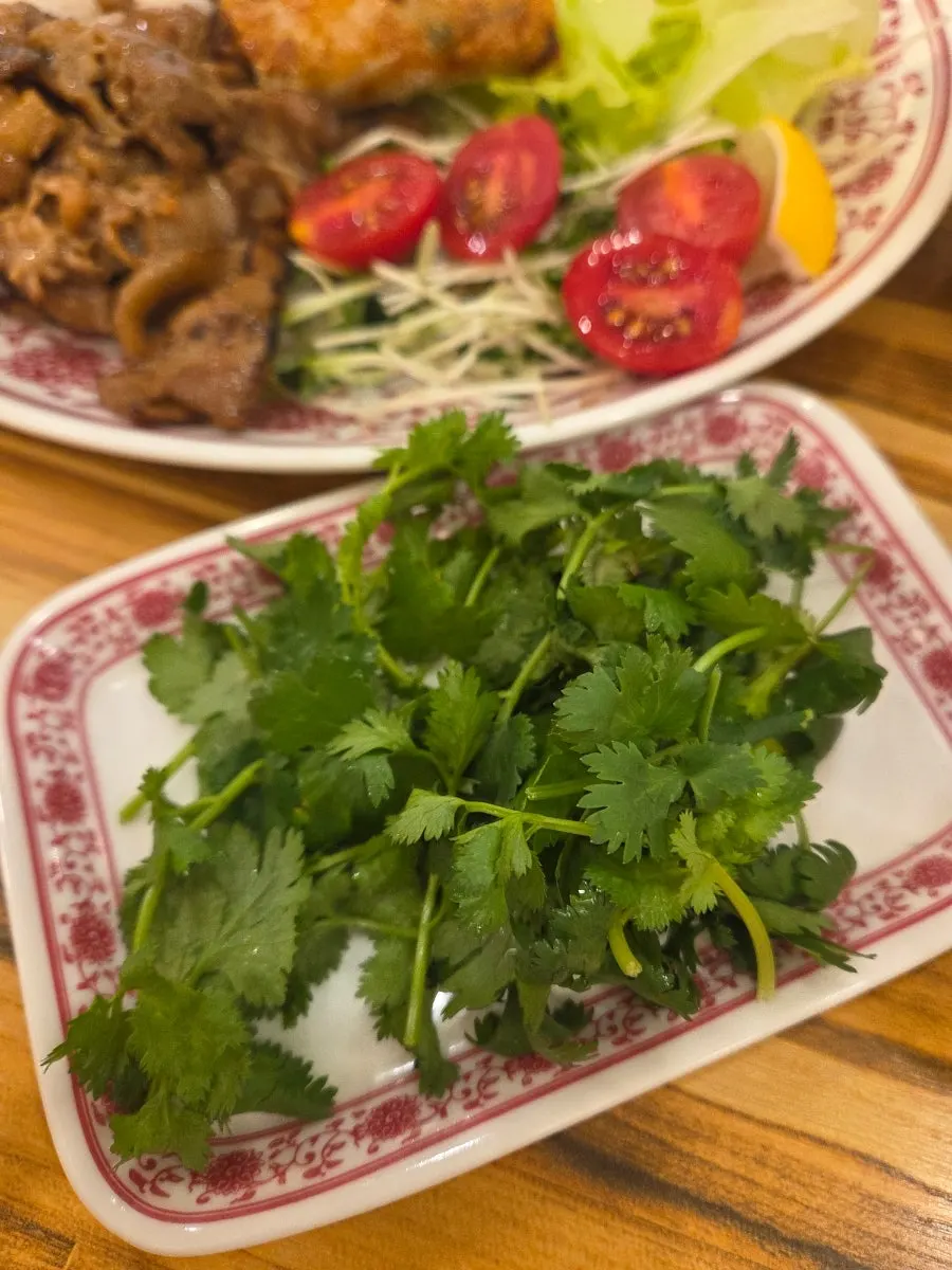 Pho with cilantro added on separate request