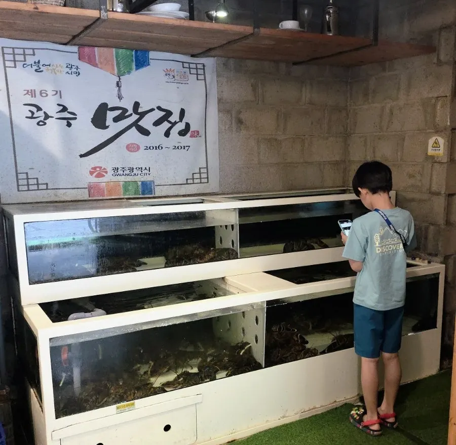 수조 속 캐나다산 활 랍스터