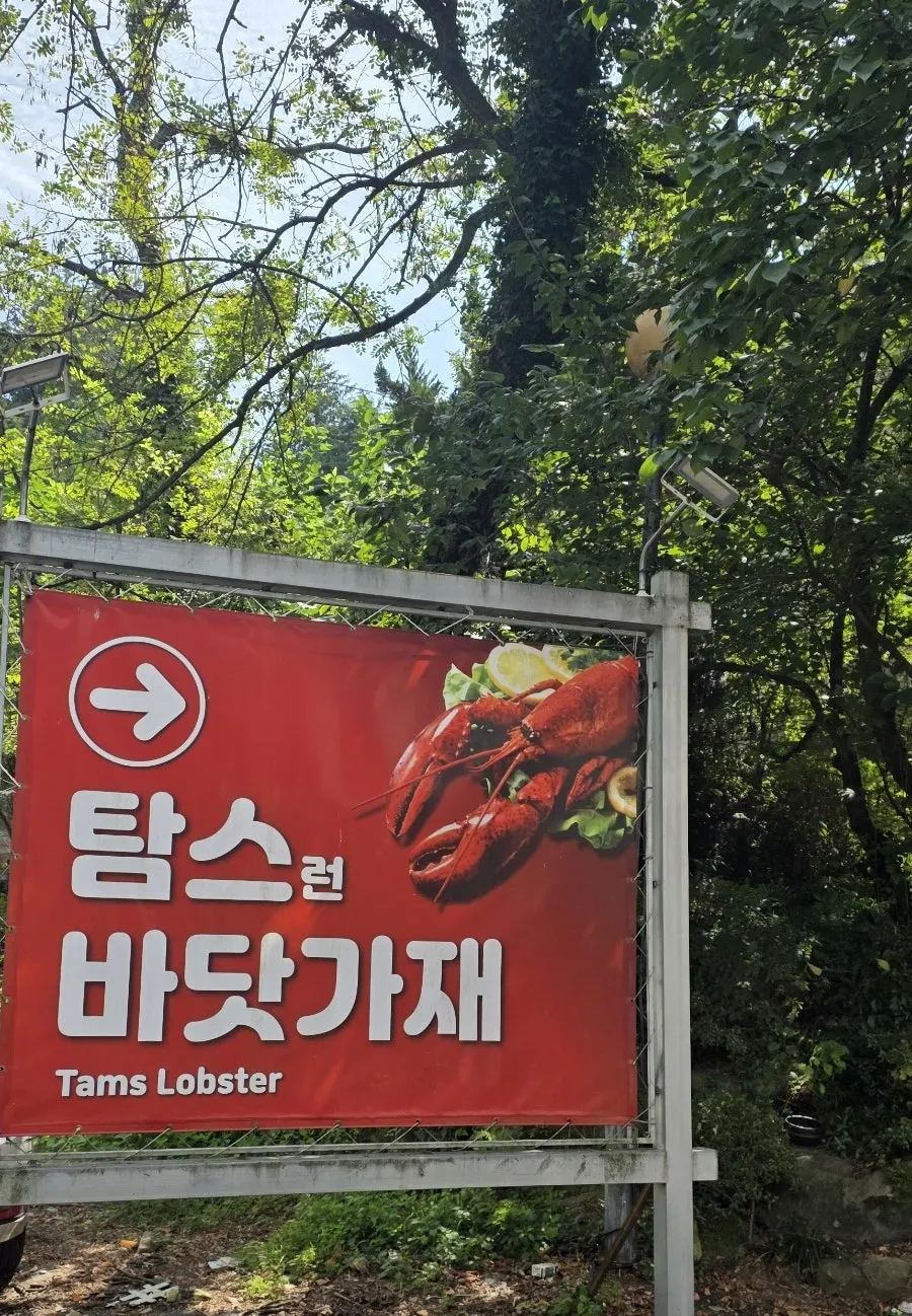 식사 후 후식으로 나온 수정과