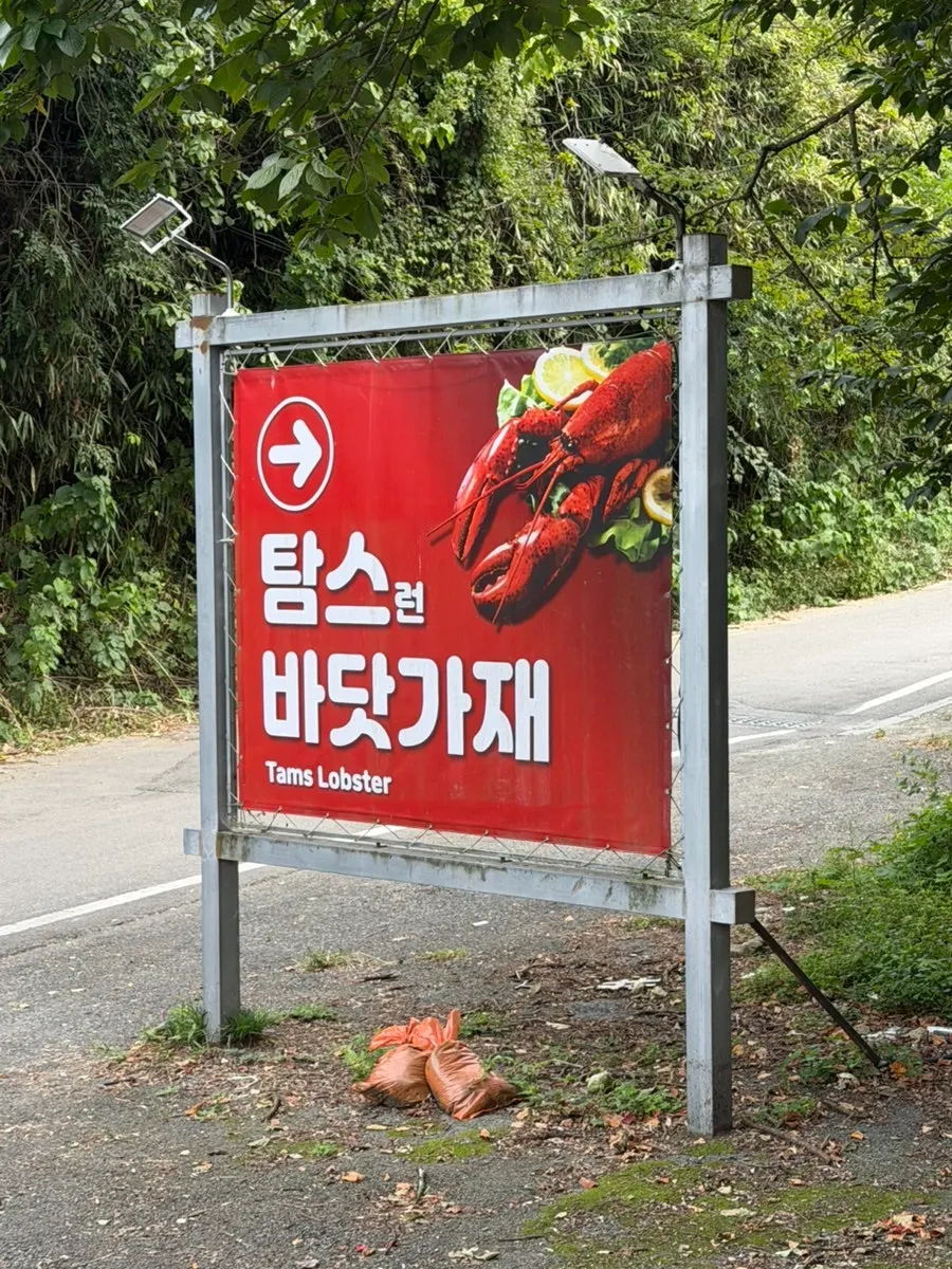 탐스바닷가재 넓은 주차장