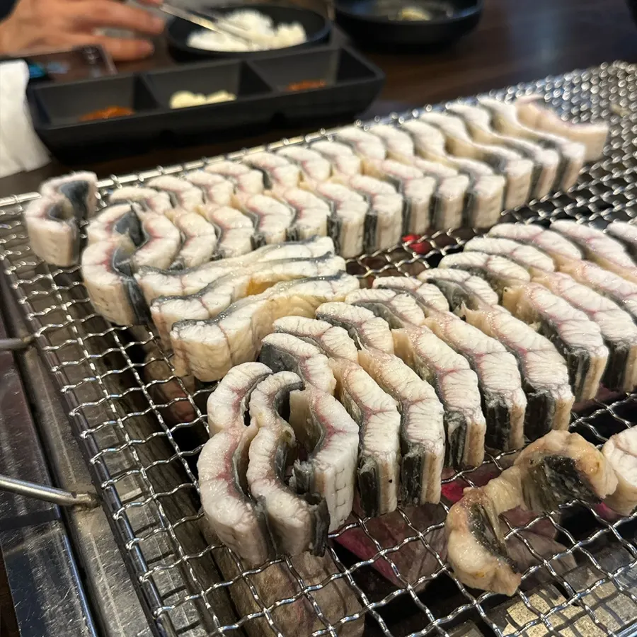 下焼きされて出てきたうなぎ一皿