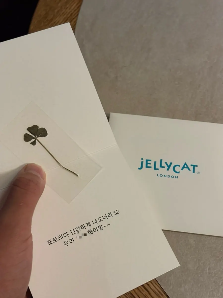 Friend's gift and a four-leaf clover