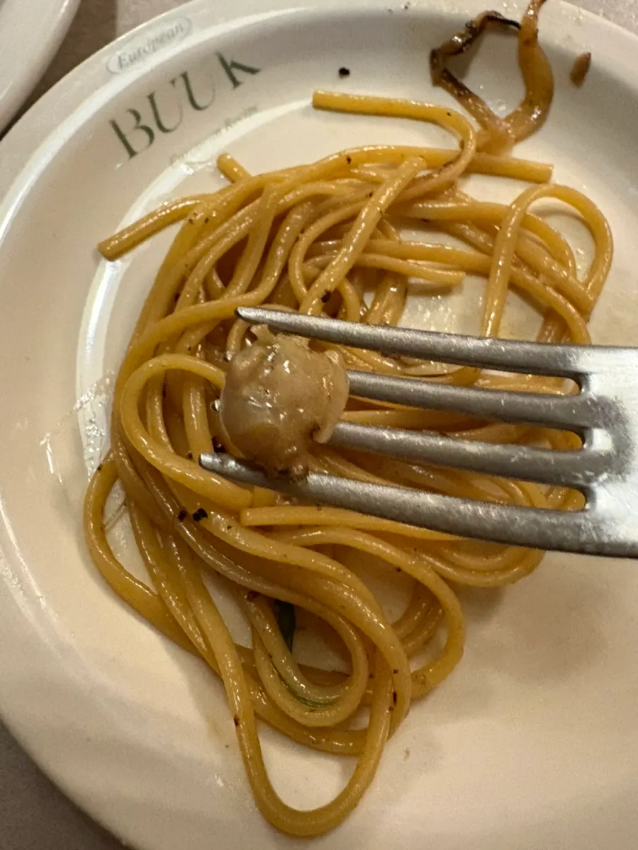 Clam pasta with clams packed around the edge of the plate