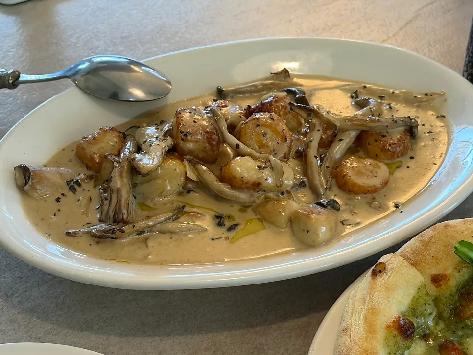 Truffle mushroom cream gnocchi piled with cream sauce