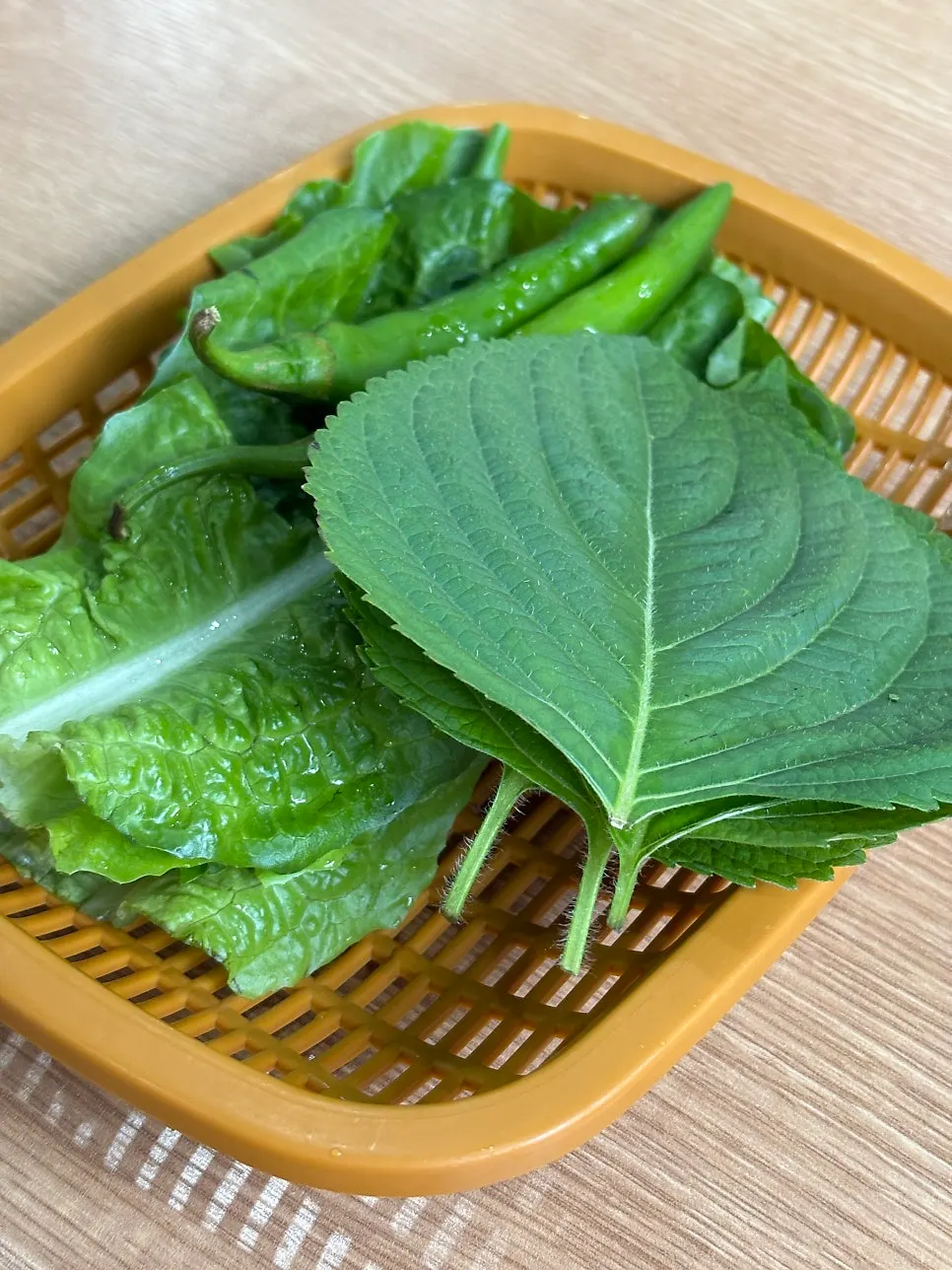 곱창구이와 함께 나온 쌈채소