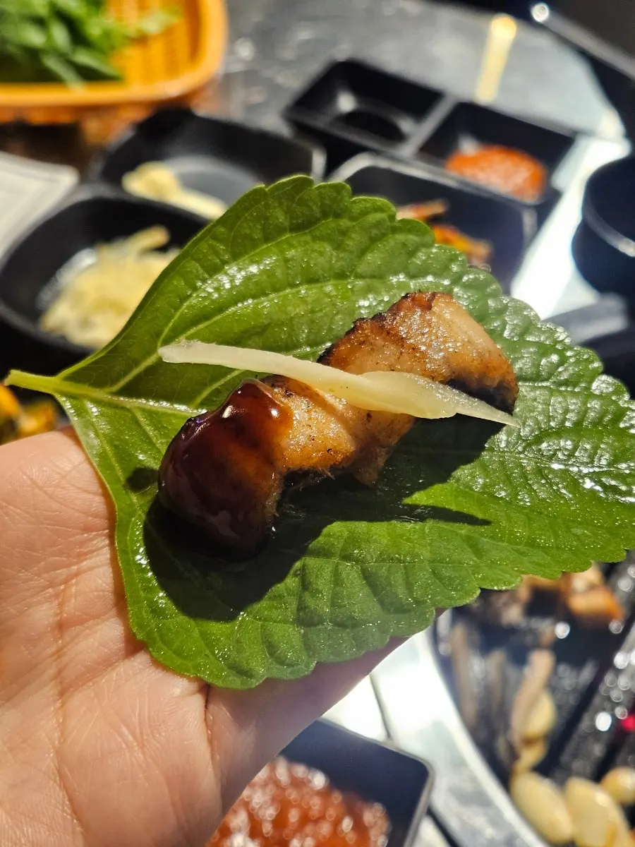Close-up of savory grilled freshwater eel