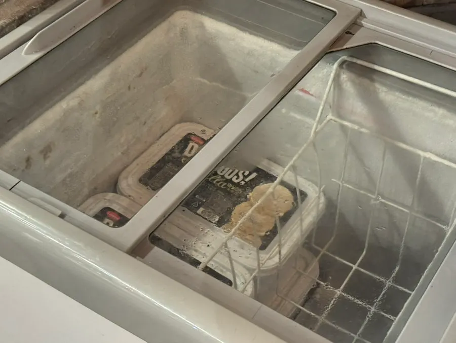 Congelador de helados para los niños
