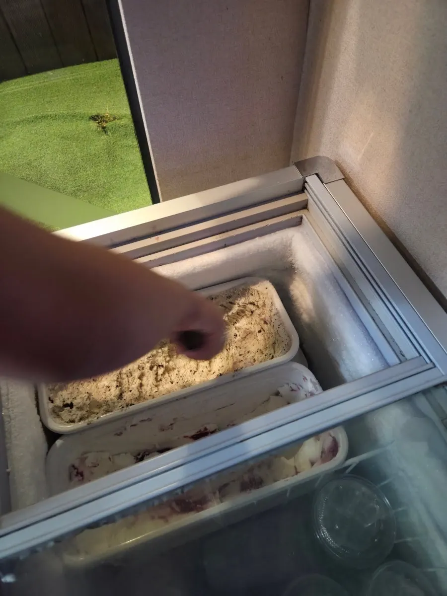 Ice cream grabbed after the meal