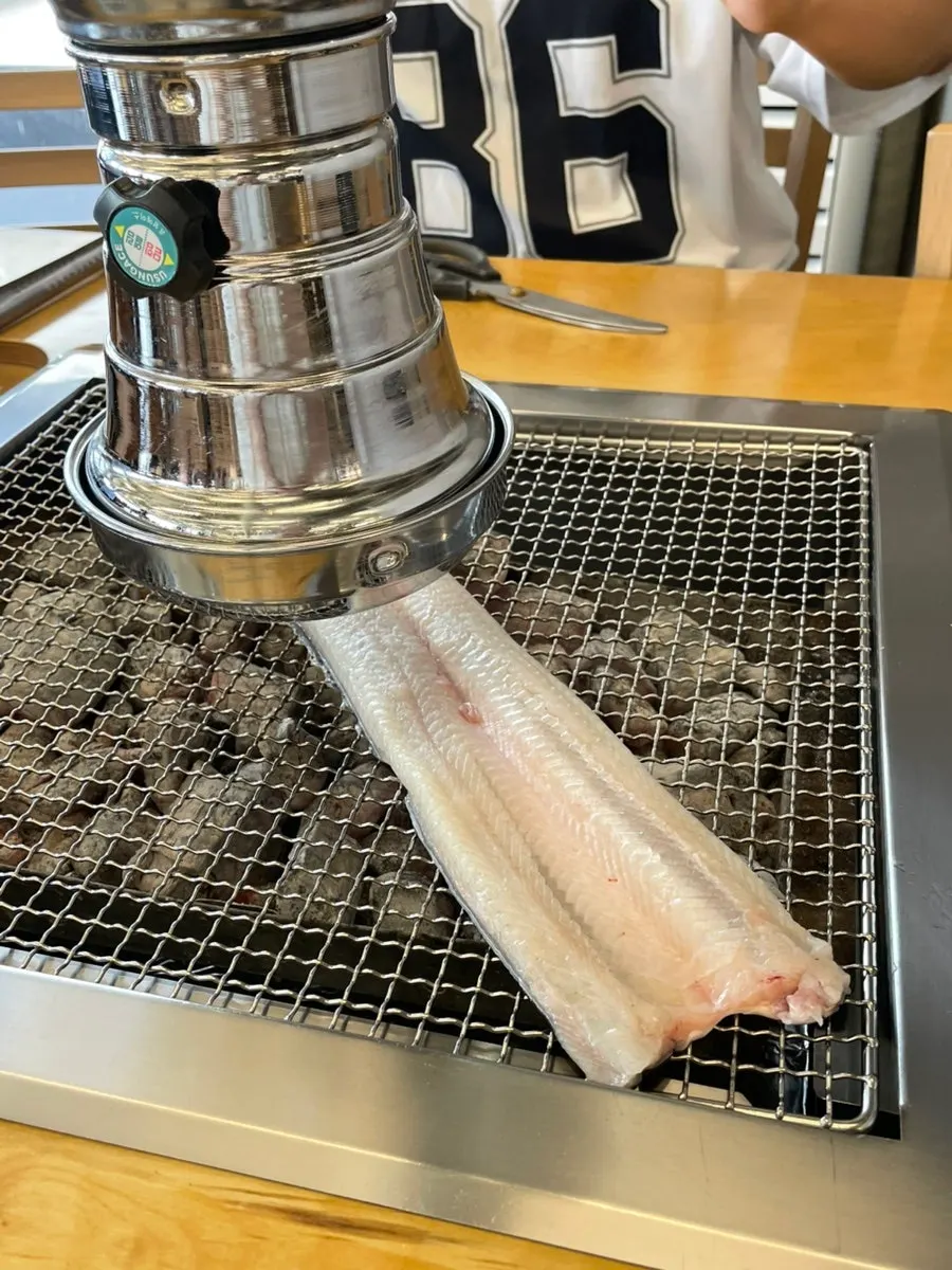 Plate of plump raw eel before grilling