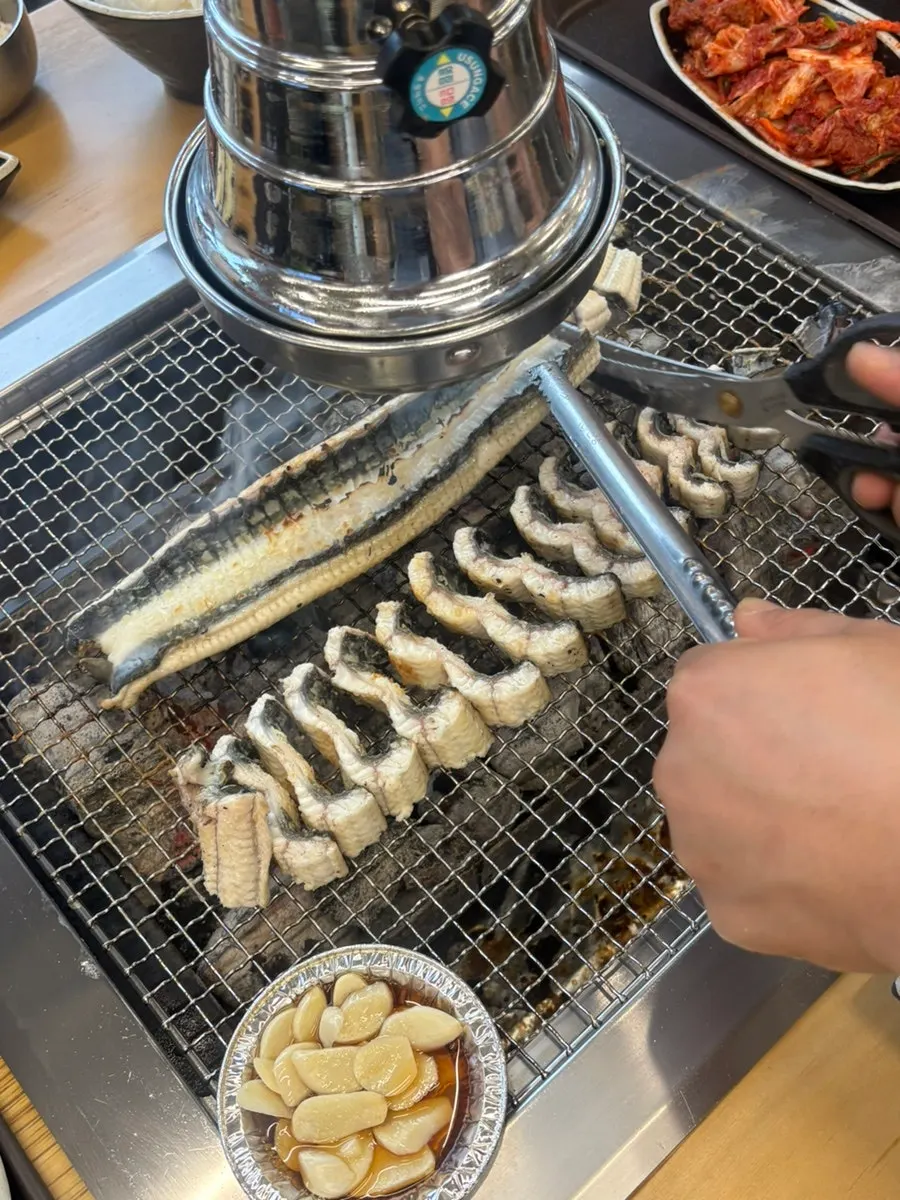 오동통한 장어 살