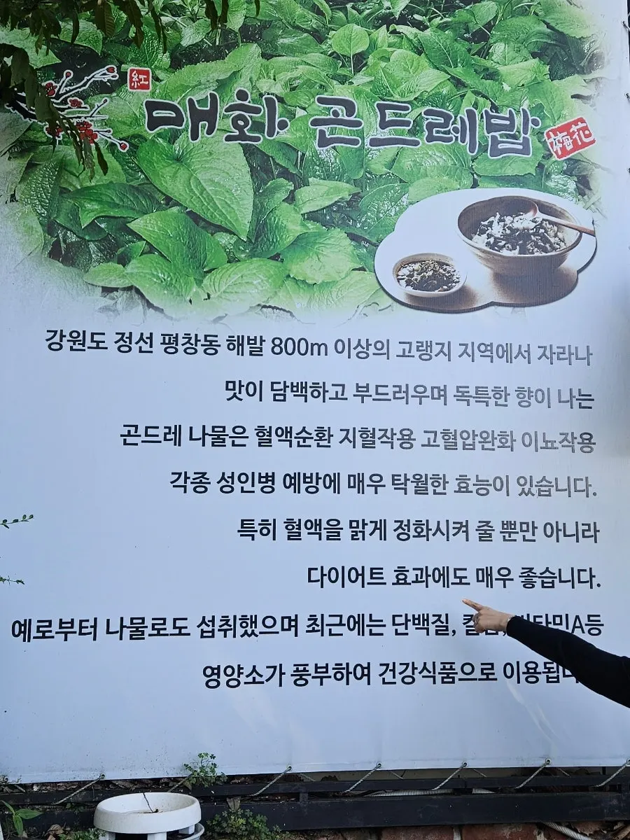 넓은 한정식집 내부 좌석