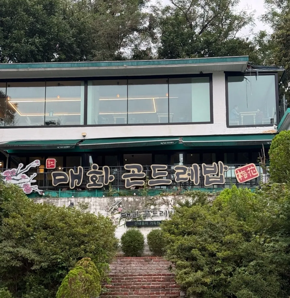 地面に落ちたクリのイガの風景
