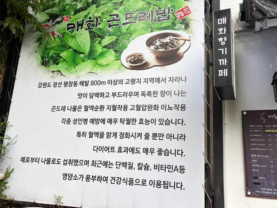 旌善高冷地蕨麻使用说明