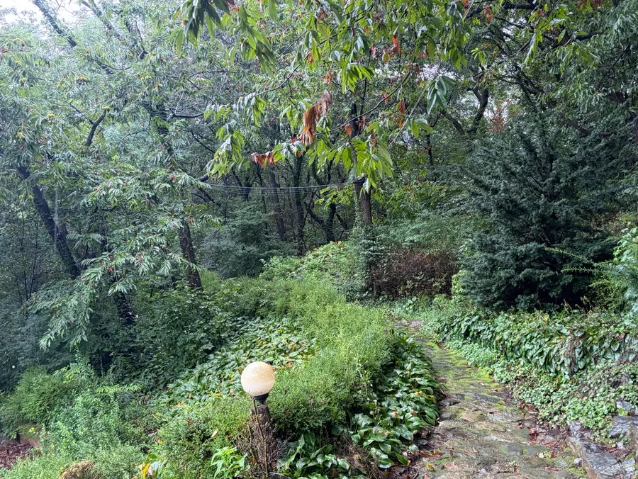 能呼吸山间空气的散步小道