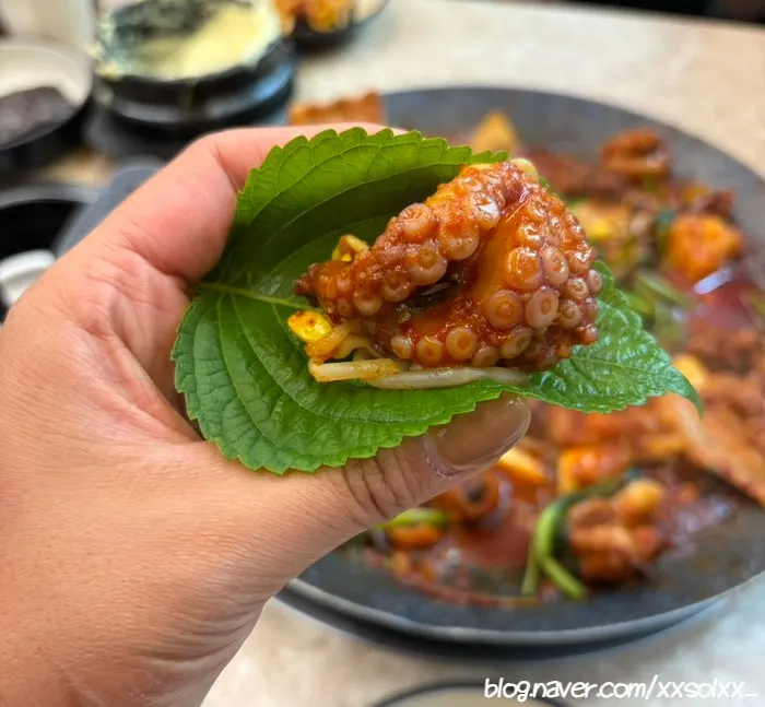 A sesame leaf wrap filled with jjukkumi, meat, and flying fish roe