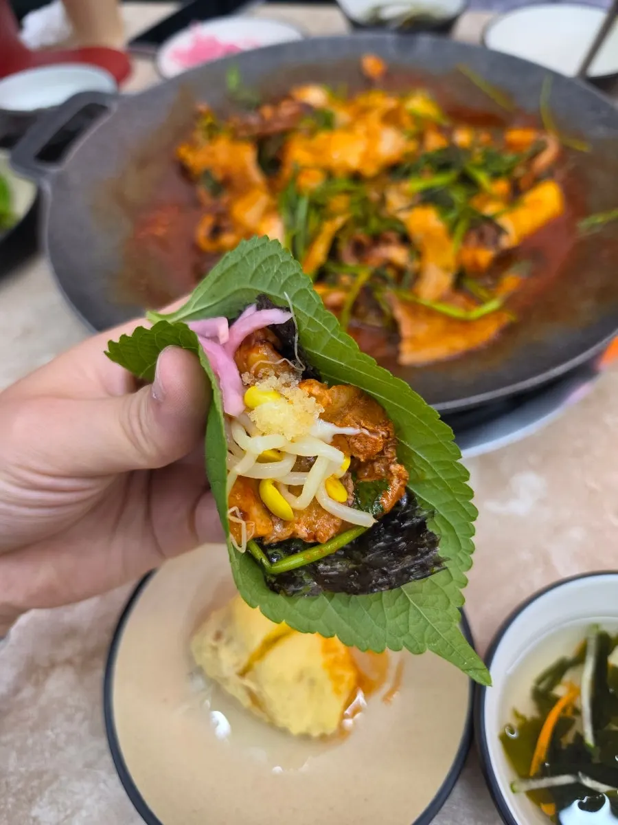 Classic jjukkumi wrap topped with white sauce