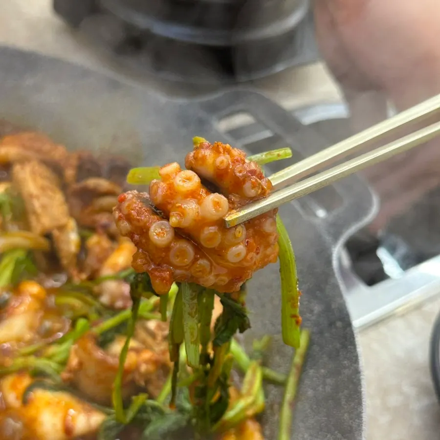 Jjukkumi pork belly topped with minari