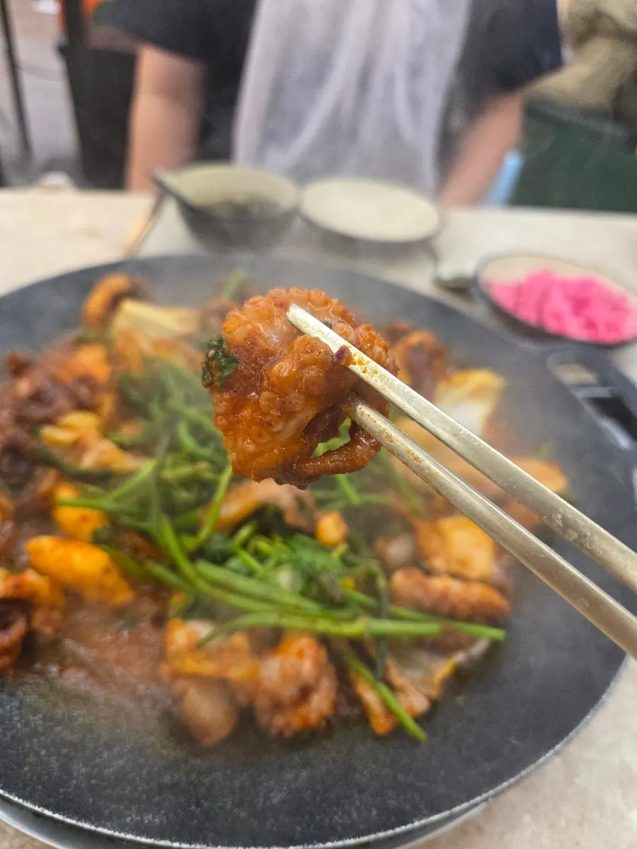 탱글한 식감의 철판 쭈꾸미