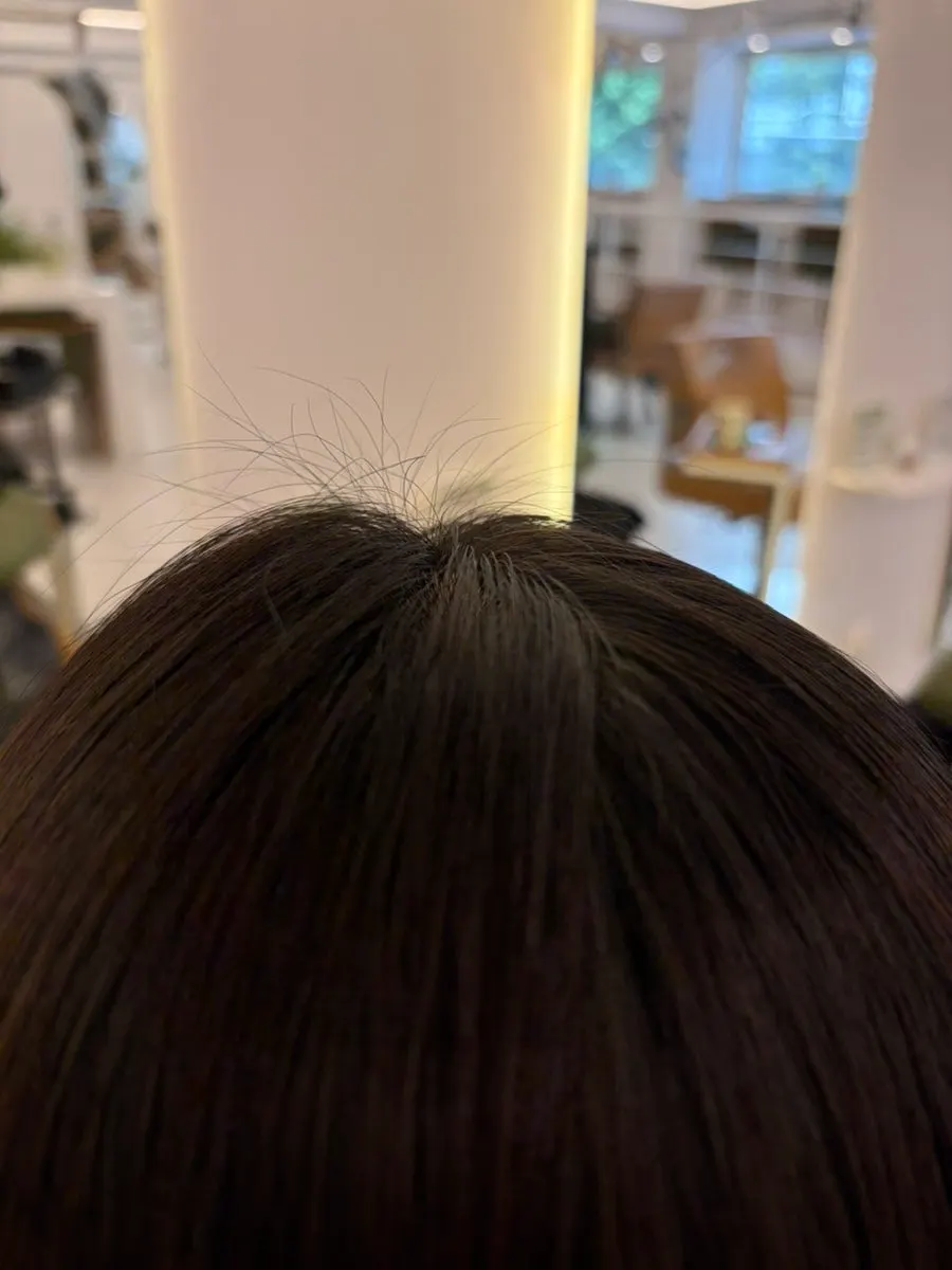 Crown and fringe condition before starting the root perm