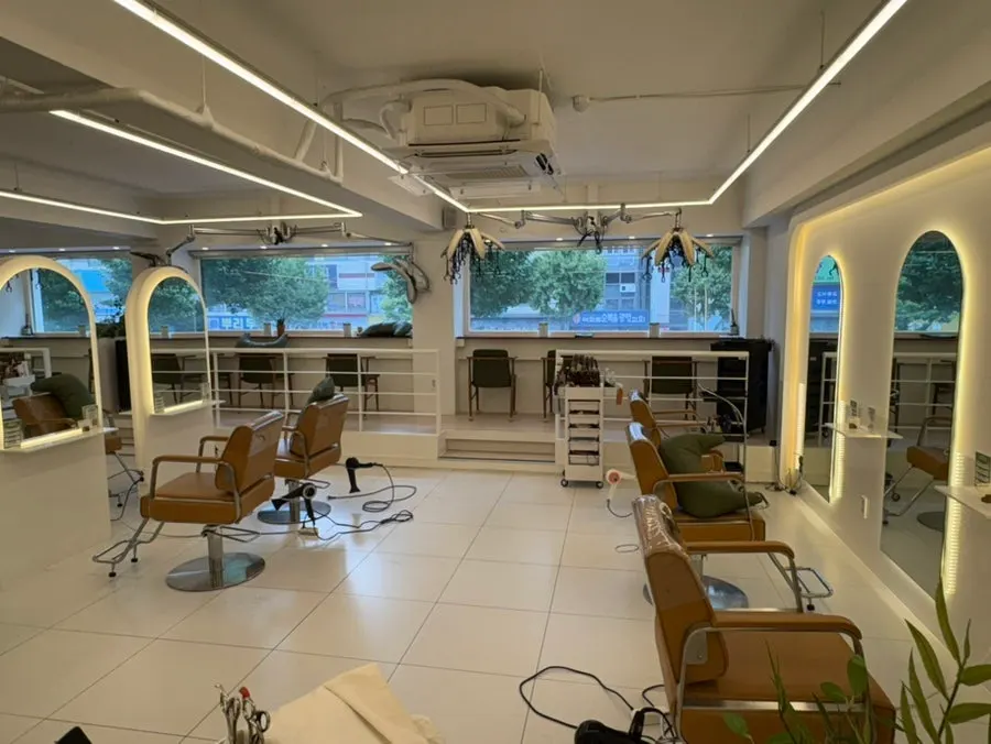 Salon interior decorated with plant-filled design
