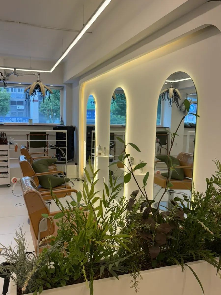 Treatment area lined with green plants