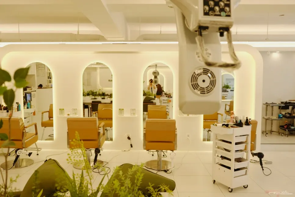Interior of Maple Hair Gwangmyeong Sageori Station Branch