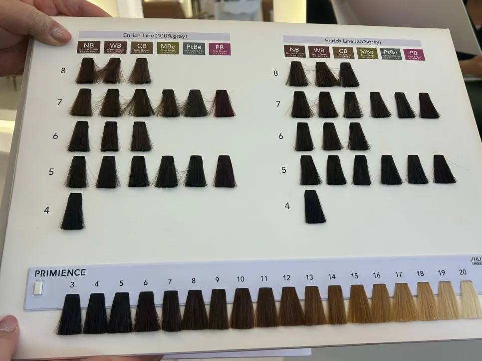 Color consultation scene