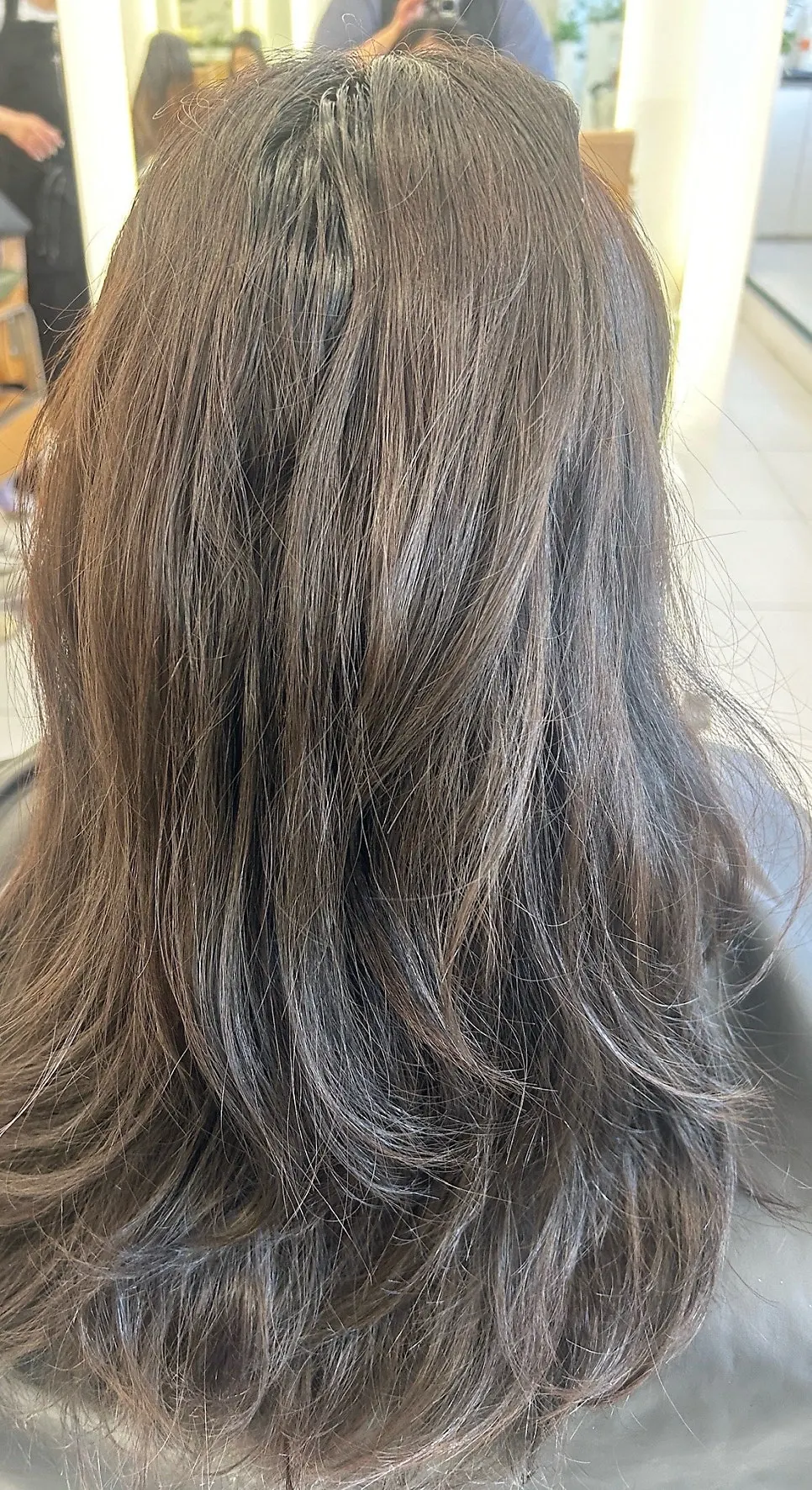 Hair with reddish tint before the tone-down