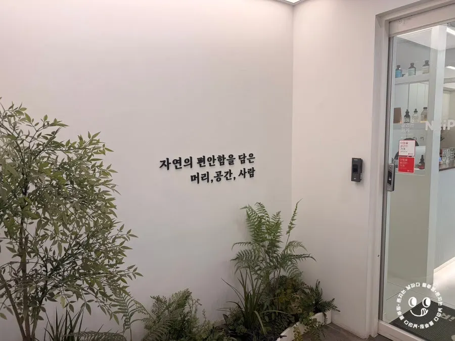 네이버 사전예약 할인 안내