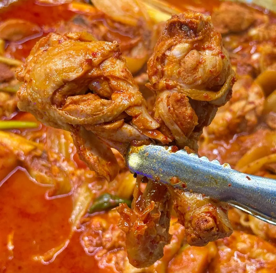 Chicken stew with a large drumstick on top