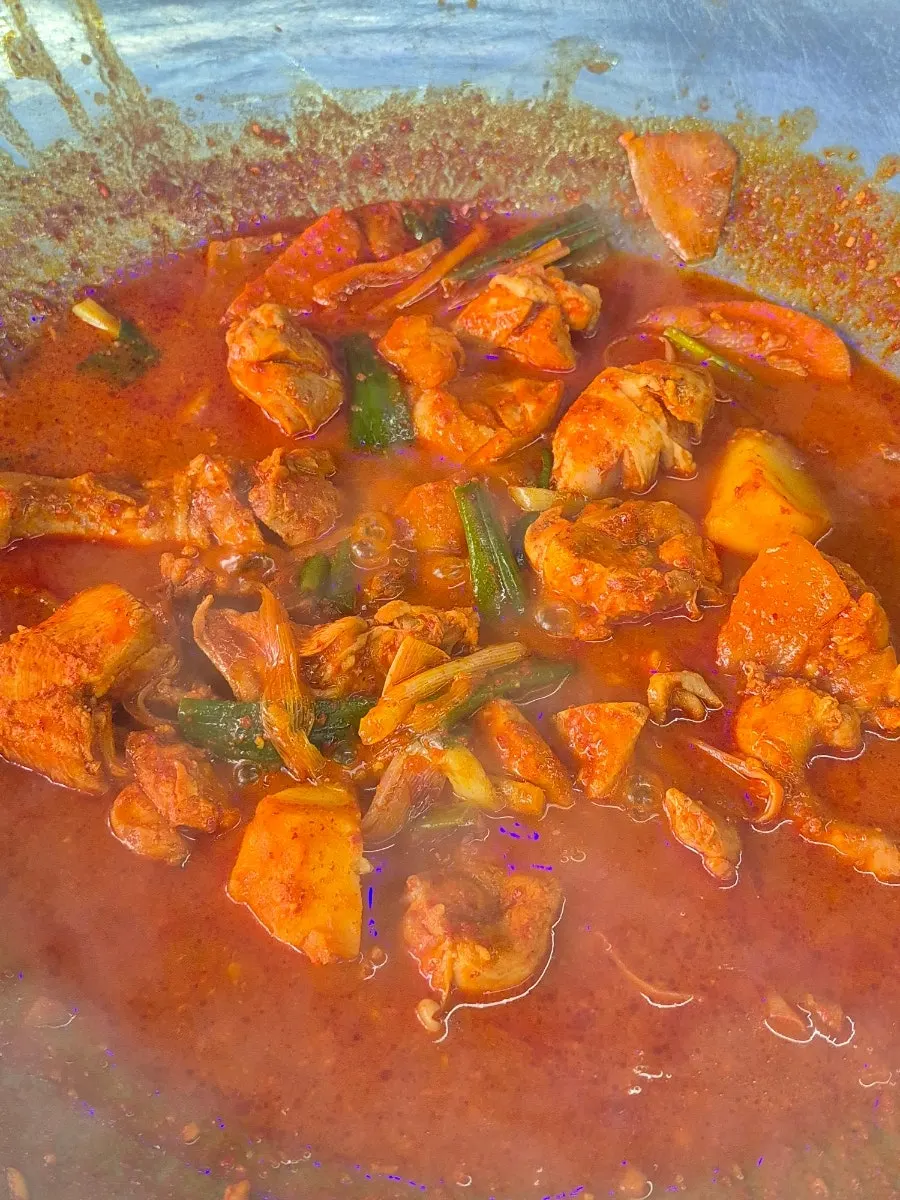 Potatoes and vegetables boiling together in the cast-iron chicken stew