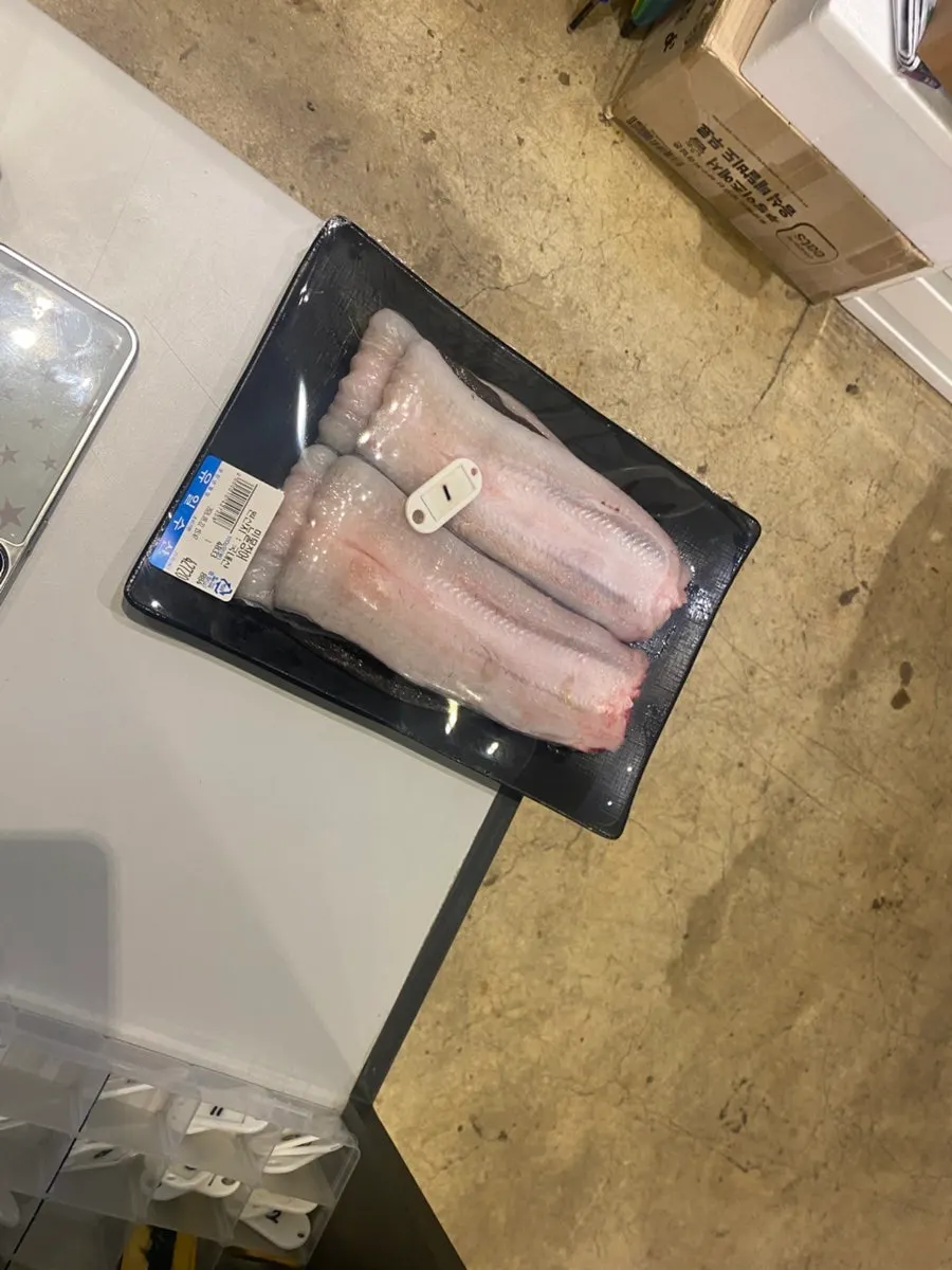 중량과 가격이 표시된 활장어 판매대