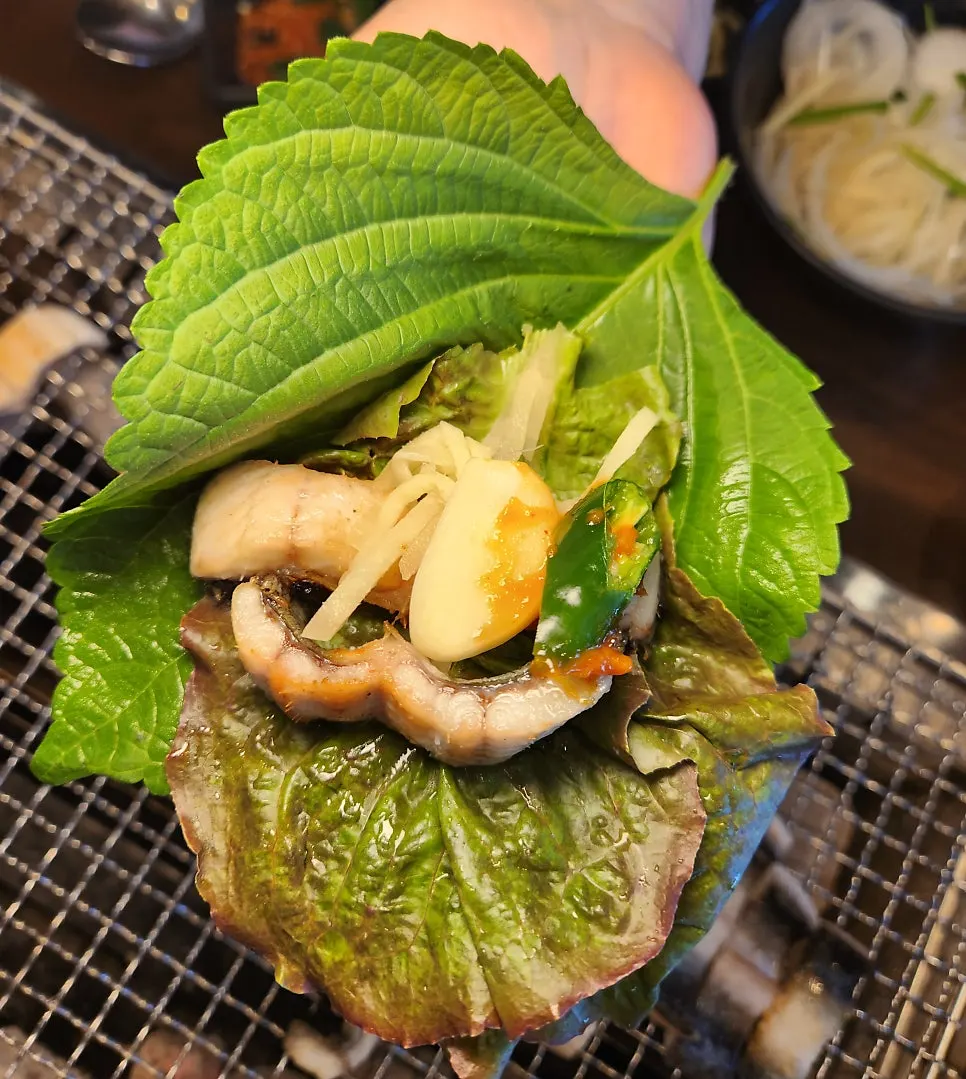 파김치를 곁들인 장어구이