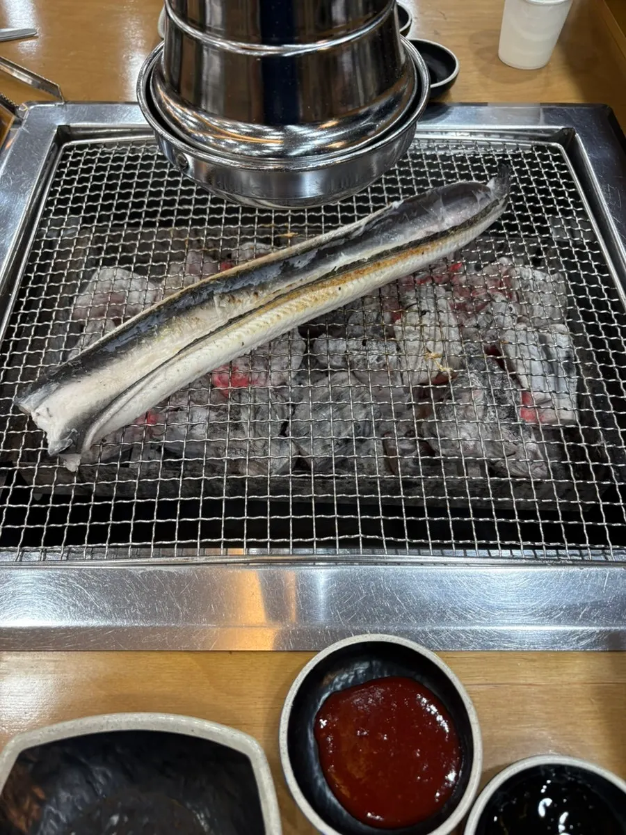 손과 크기를 비교한 두툼한 장어