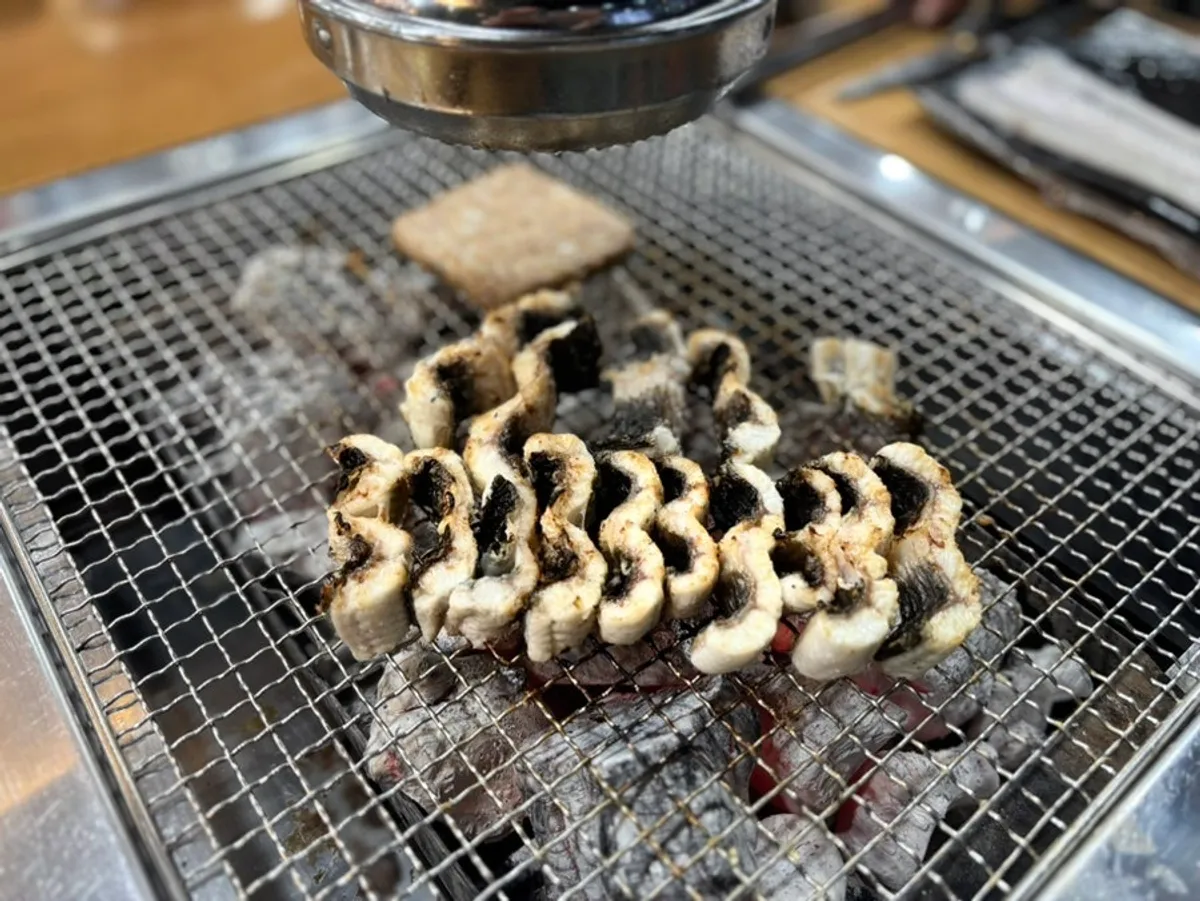 Two eels grilled to a golden brown
