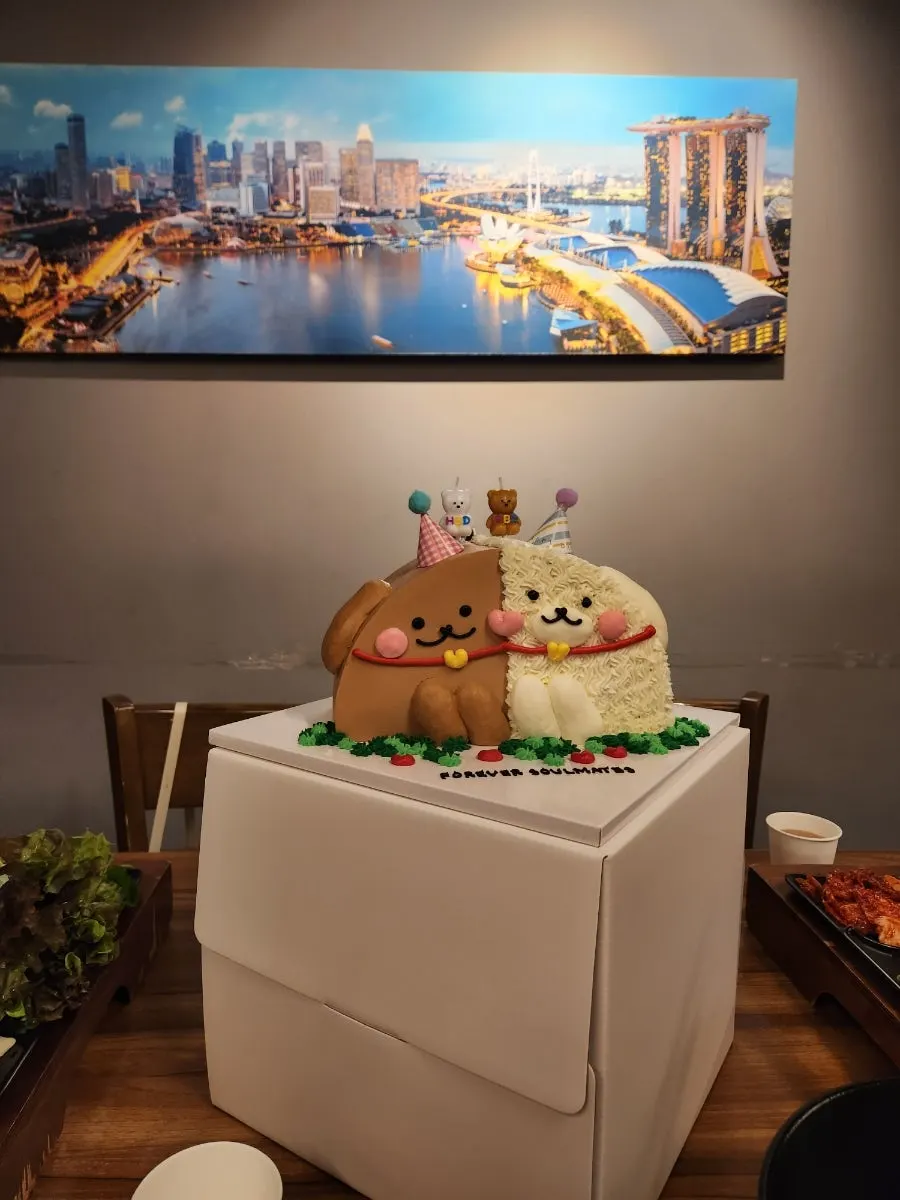 Photo of the cake taken at the gathering