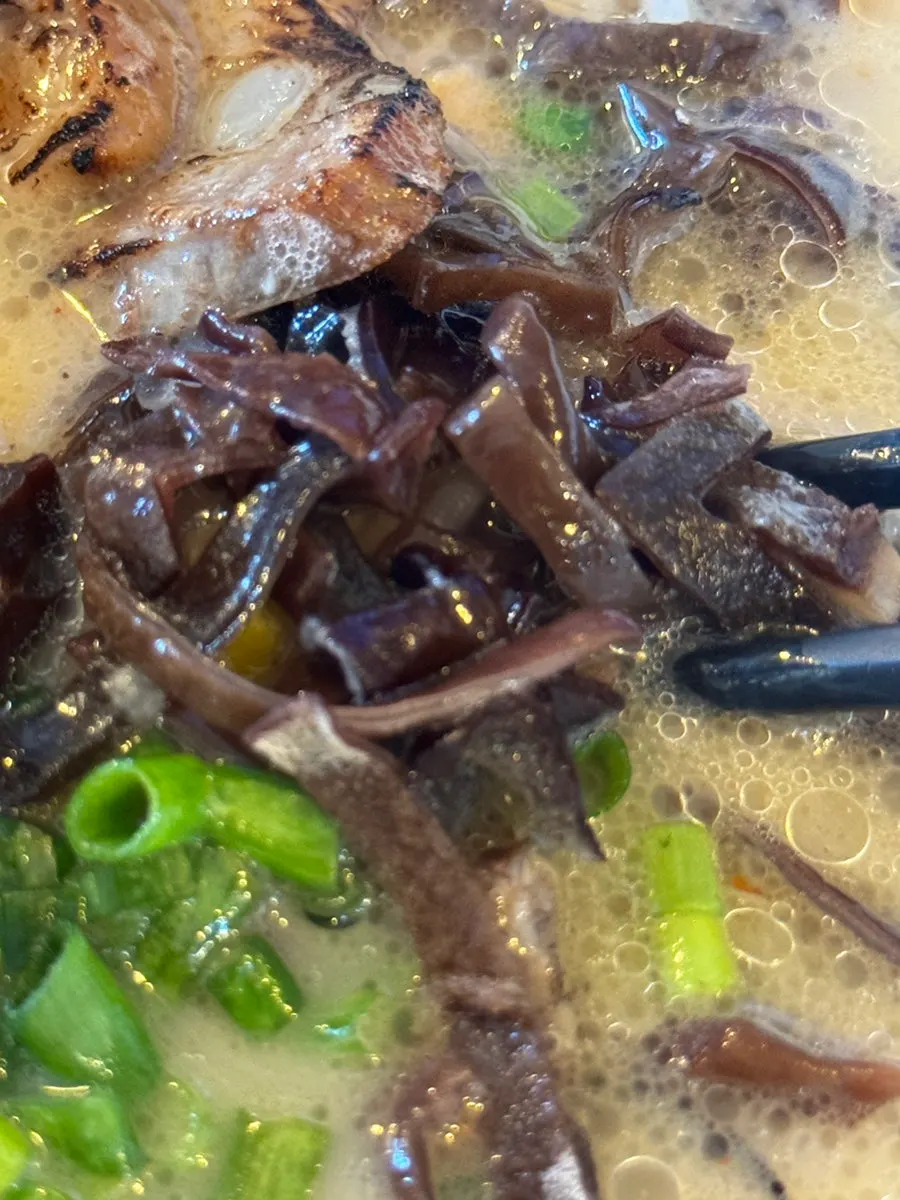 Close-up of makchang topping on motsu ramen