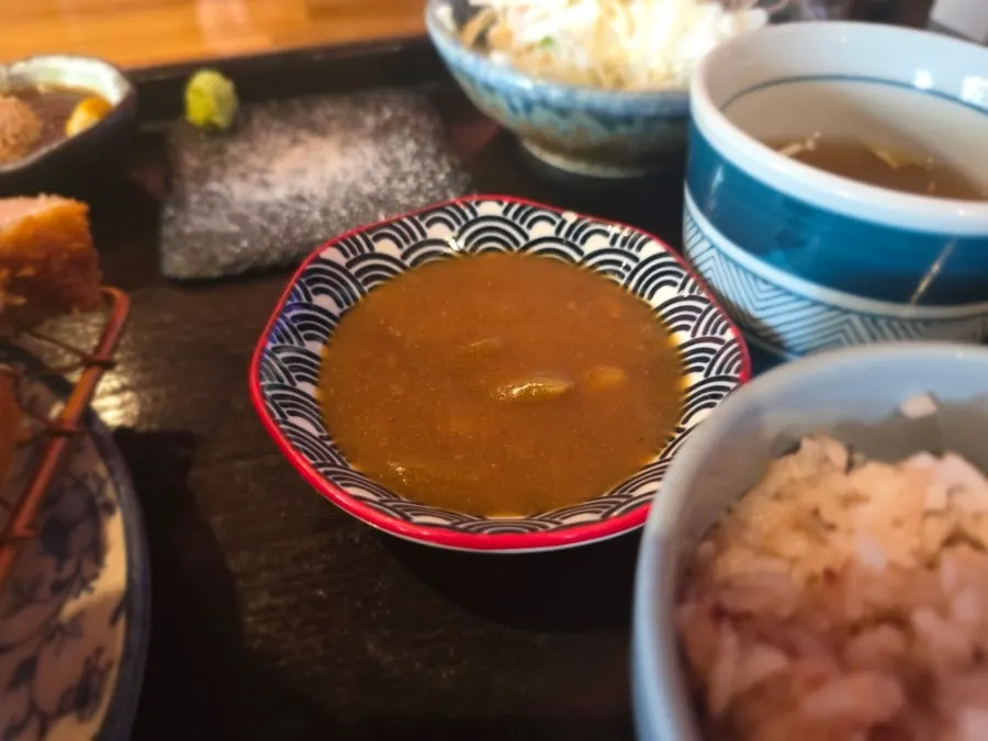카레에 찍어 먹는 돈가스 한 조각