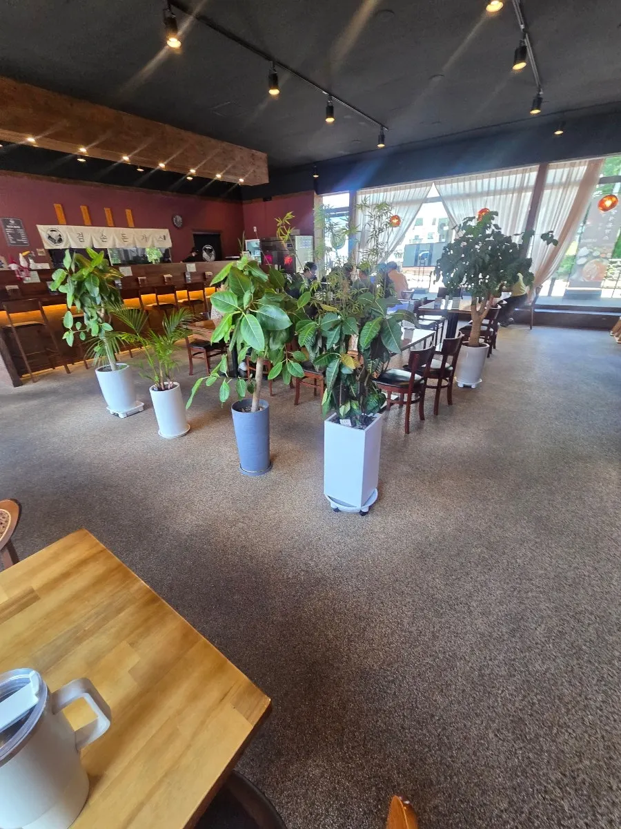 Interior with widely spaced table seating
