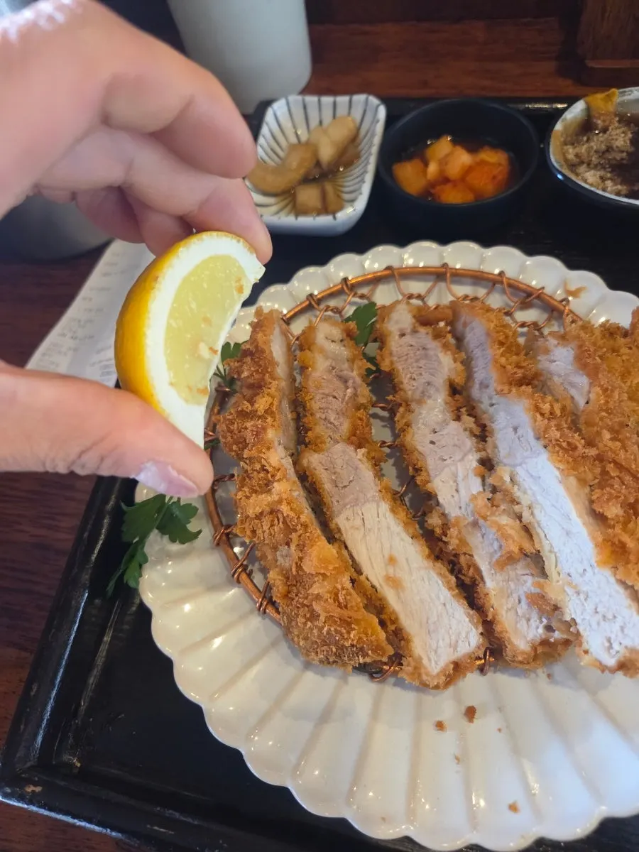 A piece of pork cutlet dipped in sauce