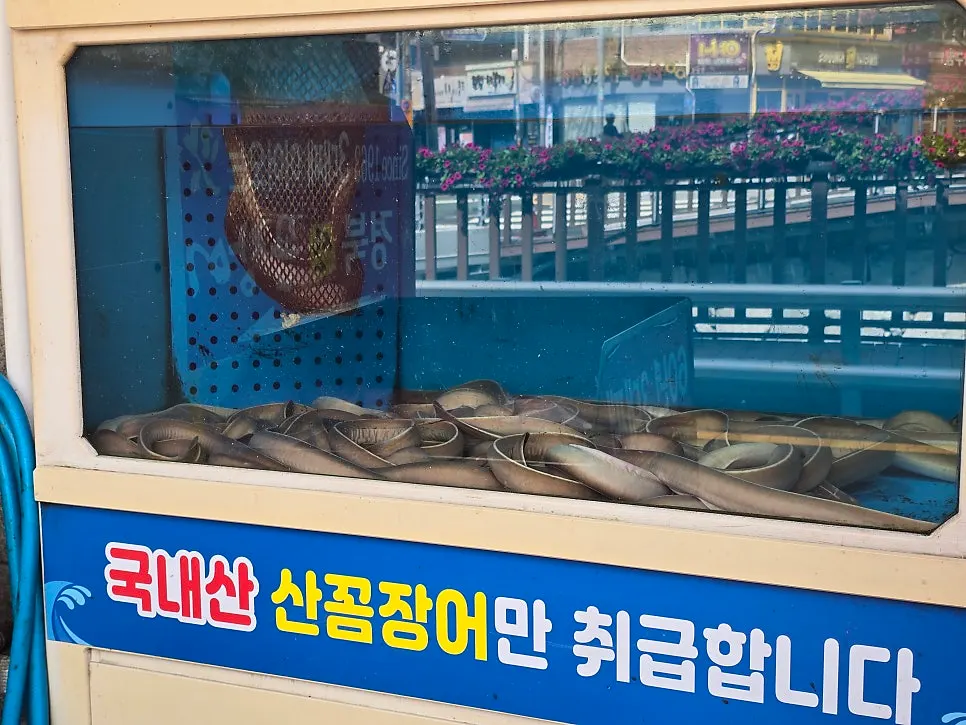 Hagfish being pre-grilled on the kitchen griddle