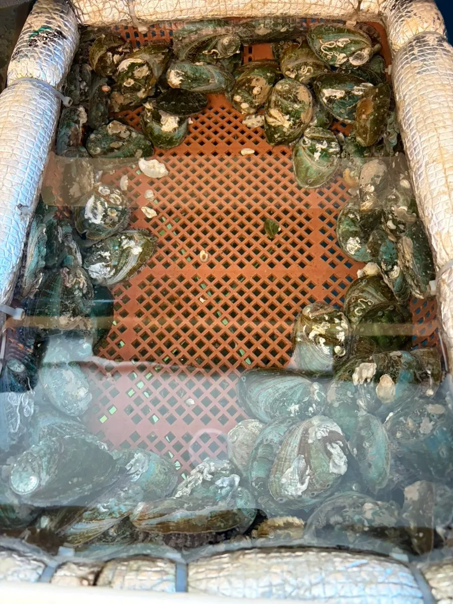 Spacious table seating inside Wando Cham Jeonbokjip