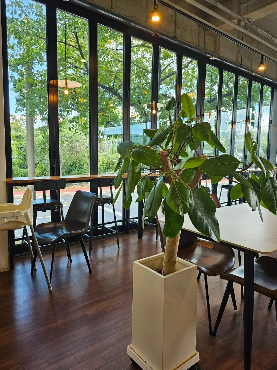 2nd floor seating with a flower field view at Yard