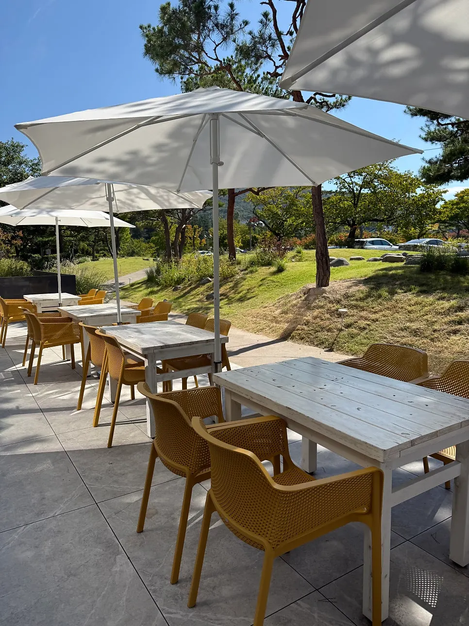 Bar space where tea is brewed