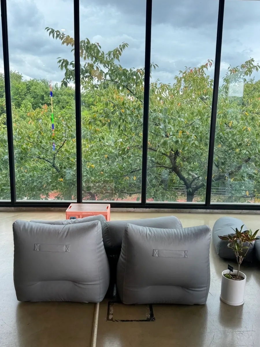 Mountains and cosmos flowers seen through a large second-floor window