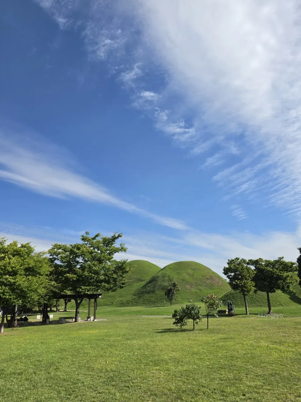 Royal tombs and grass fields seen through Bonghwangdang's windows