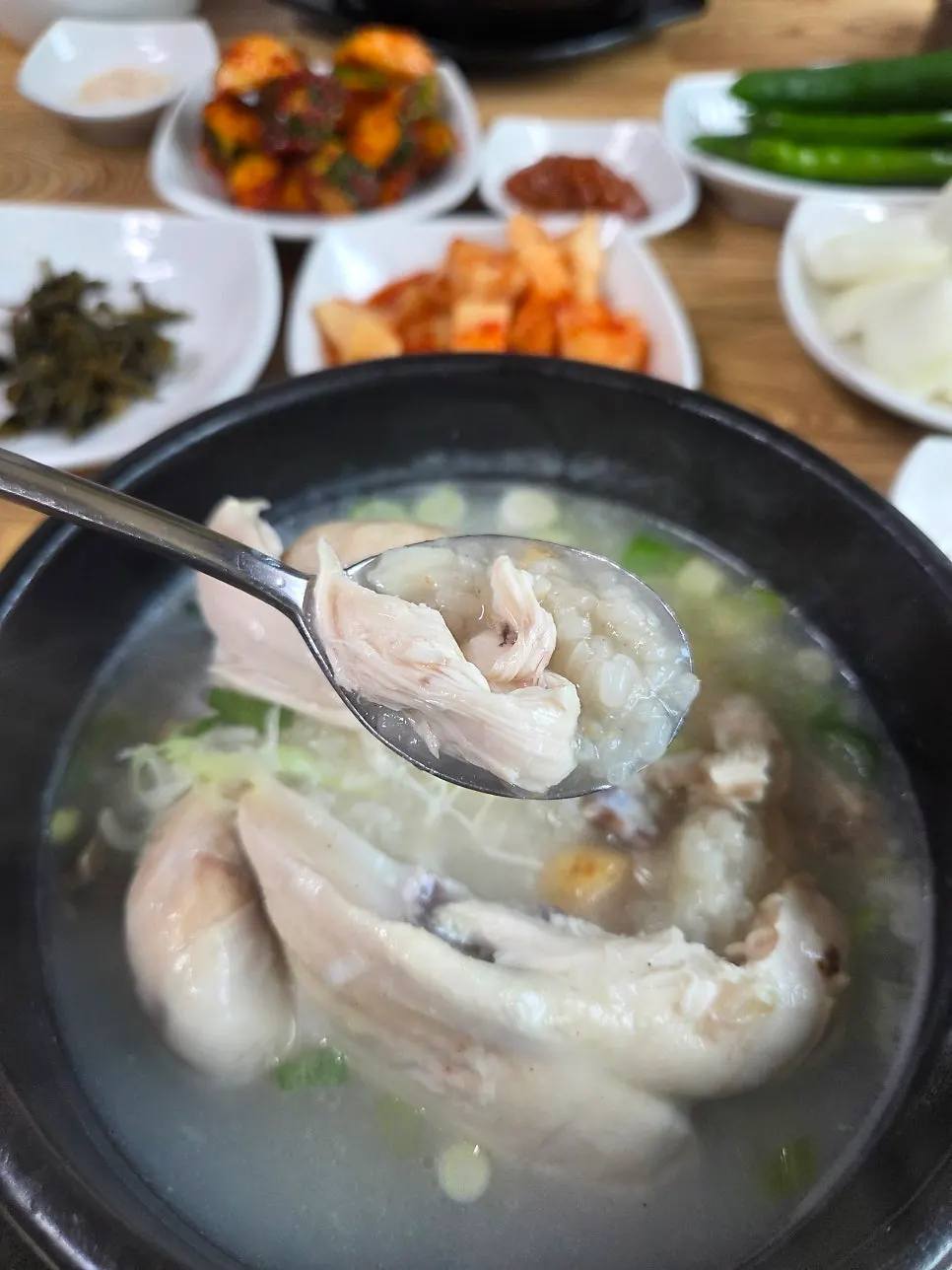 Bowl of yeongyang samgyetang nearly finished