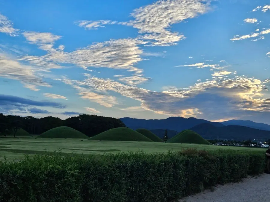 A walking route around Gyeongju's royal tombs and nearby scenery